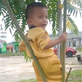 Đậu