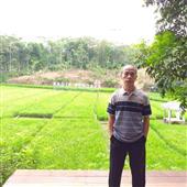 Thể