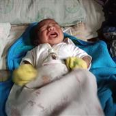 đội