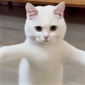 Dra