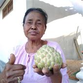 Tài