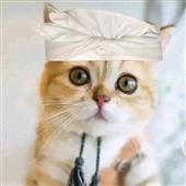 Lịc