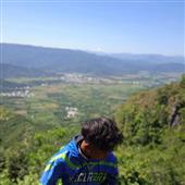 Dự