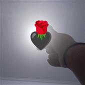 Buc