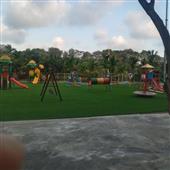 Tra
