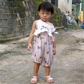 Giả