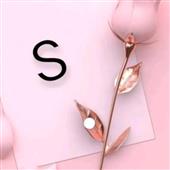 Shi