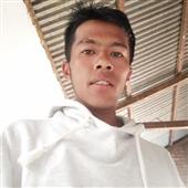 Gà
