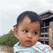 Bản