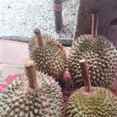 Bàn