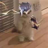 Ng