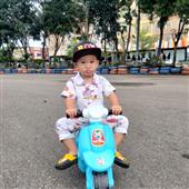Bản