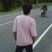 Bầy