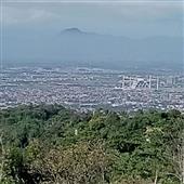 Trự