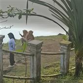 Cá 