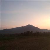 Cờ 
