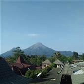 Chỉ