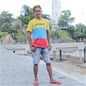 Gấu