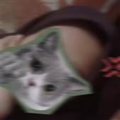 Bộ 