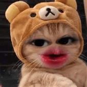 Kết