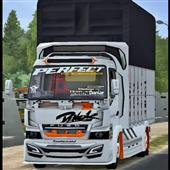 Tr