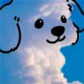 Ng