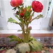 Tạp
