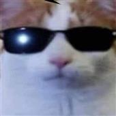 cuộ
