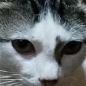Tra