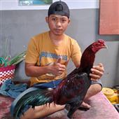 Phá