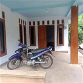 Tỷ 