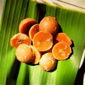 Gấu