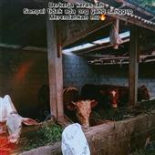 Giả