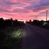 Co