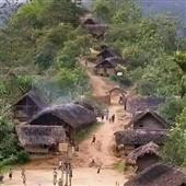 Giả