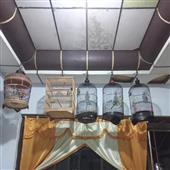Lị