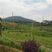 Bín