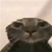 Tr