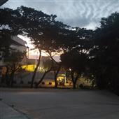 Ngư