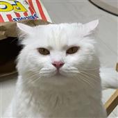 Luậ