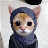 Giả