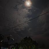 Cuộ