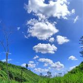 cuộ