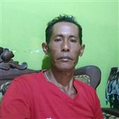 giả