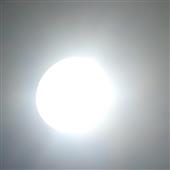 Trá