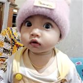 Quy
