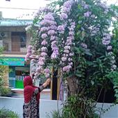 Lễ 